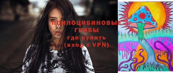 бутират Белокуриха
