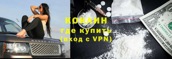 сатива Белоозёрский