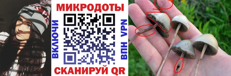 KRAKEN зеркало Иркутск Псилоцибиновые грибы ЛСД